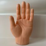 Stanley The Tiny Hand - @tinyhandmeetsworldd - Instagram