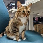Stanley Hansen - @driverstan - Instagram