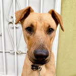 Stanley Garcia Hanson - @the.stanley.man - Instagram