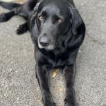 Stanley Hardy - @stanleyhardy37 - Instagram