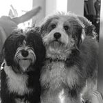 Hatcher and Stanley - @hatcher_and_stanley - Instagram