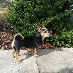 Stanley A. Hatch - @stanley_a_hatch - Instagram