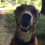 Stan - @stanley_haydonthefirst - Instagram