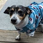 Linda Stanley Hendrix Rollins - @lindastanleyrollins - Instagram