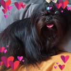 Stanley Henry - Facebook