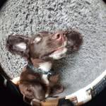 stanley henry - @stanley_sprocker_henry - Instagram