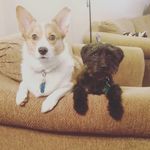 Herbert_&_Stanley - @herbert__stanley - Instagram
