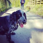 Sir Winston Stanley Herbert - @billboewaggins - Instagram