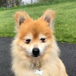Stanley Cornelius Herbert - @stanleyiaintyomanley - Instagram