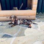 Stanley Herbert - @stanley_herbert1 - Instagram