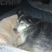 Stanley Herring - Facebook