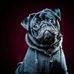 Stanley Herring - Facebook