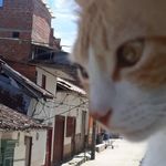 stanley hershey - @stanleyhershey - Instagram