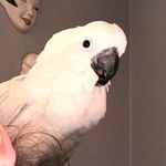 Stanley Hodge - @stanleyhodge49 - Instagram