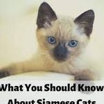 Melissa Paige - @hooks.stanley.96 - Instagram