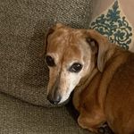 Stanley - @stanley_denis_hopper - Instagram
