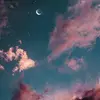 stanley_house.x1 - @stanley_house.x1 - TikTok