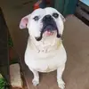Jackson Stanley - @jackson.stanley051 - TikTok