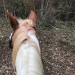 Stanley Jackson - @yamaha_450_yfz - Instagram