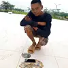 user6325166731472 - @stanleyjolly44 - TikTok