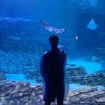Stanley kerr - @stan___kerr - Instagram
