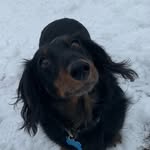 Stanley - @stanleykrueger7 - Instagram