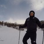 Stan Levitin - @stanlevitin - Instagram