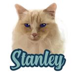 StanleySteamerLevitt - @stanleysteamerlevitt - Instagram