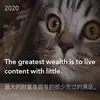 stanley lou - @stanley.lou1 - TikTok