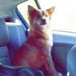 Stanley Lou Elias - @stanreyrou - Instagram