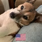 Stanley Lovelace - Facebook