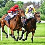 Stanley Lui - @lui3567 - Instagram