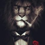 Mr. Lyons - @mrstanleyjlyons - Instagram