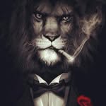 Mr. Lyons - @mrstanleyjlyons - Instagram