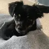 StanleyLyons - @zhageuslvii - TikTok