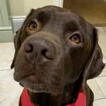 Stanley Mahon - @stanley_akaneedynorman - Instagram
