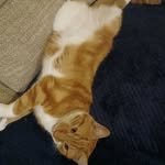 stanley mahoney - @stanley_mahoney66 - Instagram