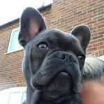 Stan the Man - @manley_stanley___ - Instagram