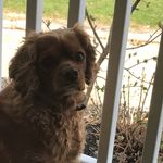Stanley - @stanley_manley - Instagram
