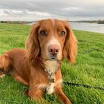 Stanley - @stanley_manley_munt - Instagram