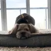 StanleyBoo - @stanleymanley - TikTok