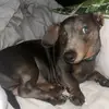 stanley.manley123 - @stanley.manley123 - TikTok