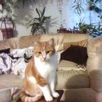 Stan Mattingly - Facebook