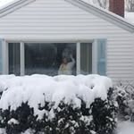 Stanley Mattingly - @stanleymattingly - Instagram