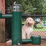 Stanley Maxwell - @stanandolliefurever - Instagram