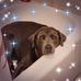 Stanley McClure - Facebook
