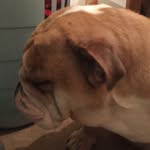 Stanley McCormick - @stanley.mccormick_new_account - Instagram