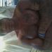 Stanley Mccullough - Facebook