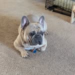 Stanley McElroy - @stanleymcelro - Instagram