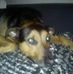Stanley Mcgowan - Facebook